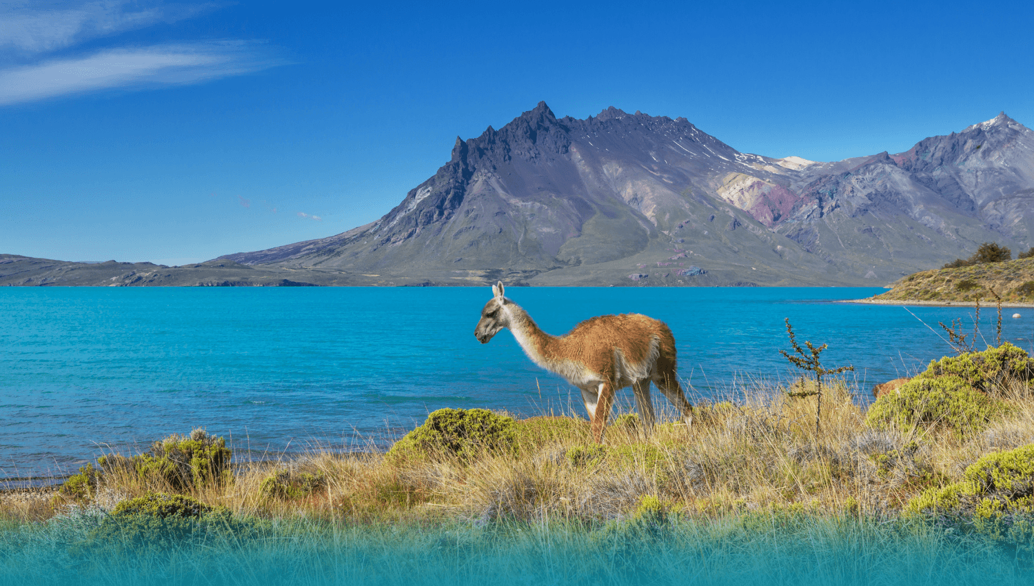 Atacama